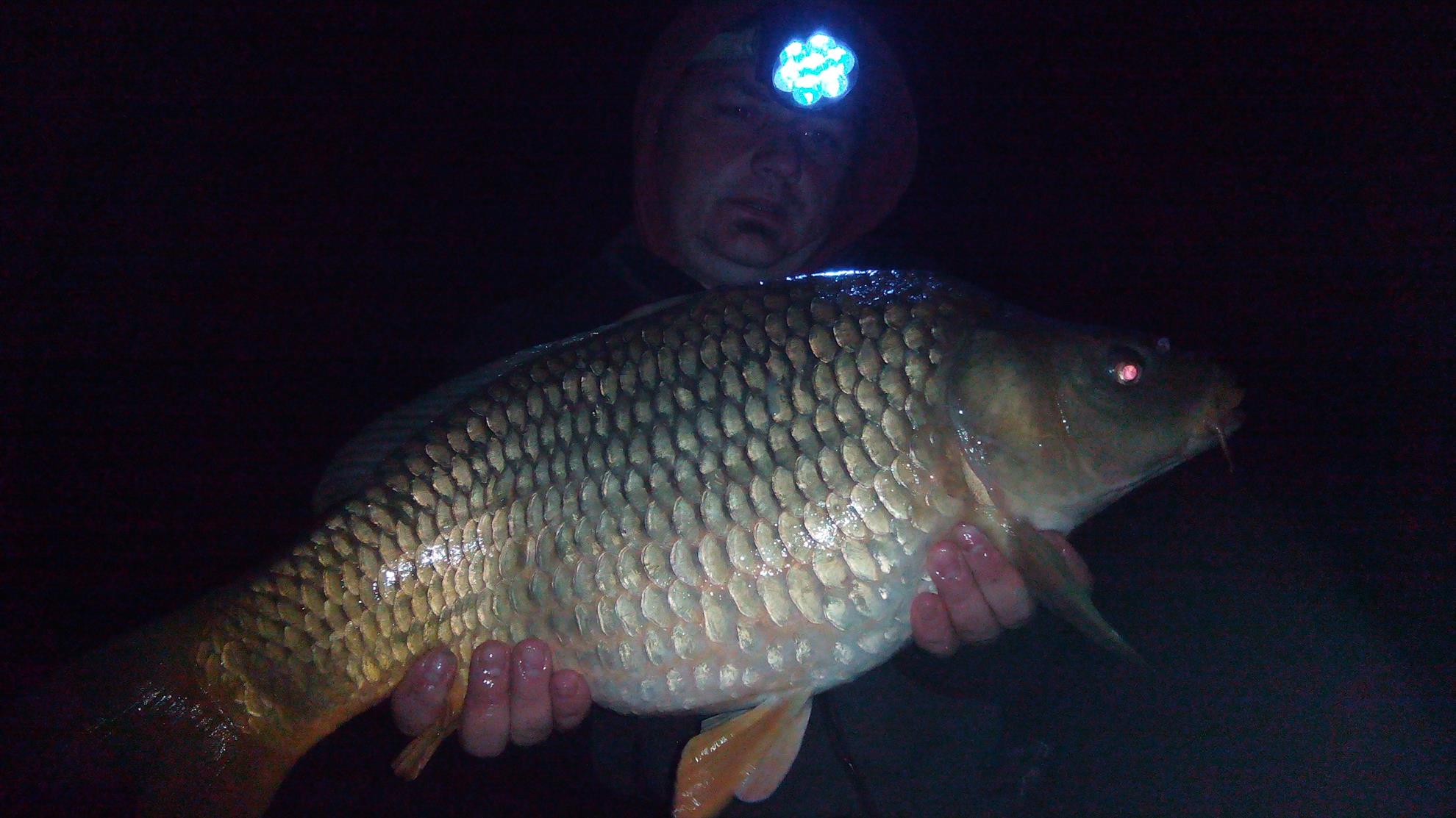 album pescuit 2015 - img20150326212624.jpg